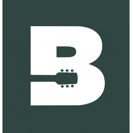 Brian's Guitars